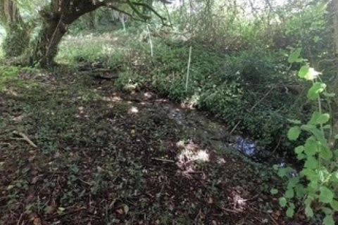 Landejendom i Lignol, Morbihan, Lignol - € 260.000 | Ref: 195178 - foto 7