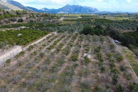 Helårsgrund i Orba, Alicante, Orba - € 130.000 | Ref: 001784PGI - foto 1