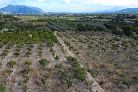 Helårsgrund i Orba, Alicante, Orba - € 130.000 | Ref: 001784PGI - foto 2