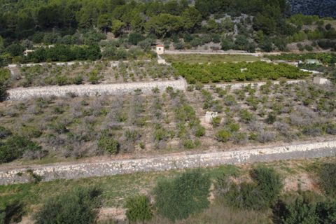Helårsgrund i Orba, Alicante, Orba - € 130.000 | Ref: 001784PGI - foto 3