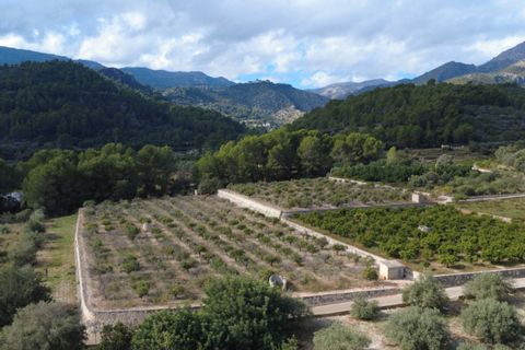 Helårsgrund i Orba, Alicante, Orba - € 130.000 | Ref: 001784PGI - foto 6