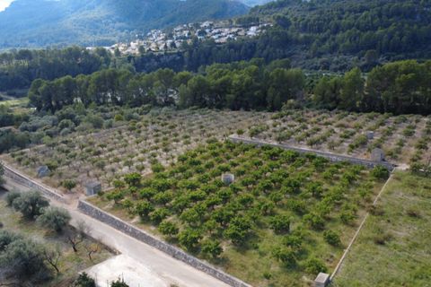 Helårsgrund i Orba, Alicante, Orba - € 130.000 | Ref: 001784PGI - foto 7