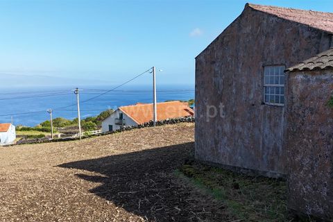 Helårsgrund i Lajes do Pico, Pico, Lajes do Pico - € 275.000 | Ref: 374250256 - foto 3