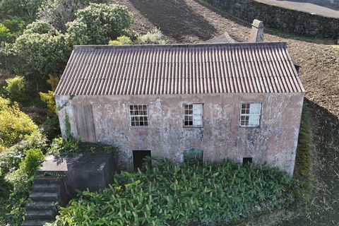 Helårsgrund i Lajes do Pico, Pico, Lajes do Pico - € 275.000 | Ref: 374250256 - foto 5