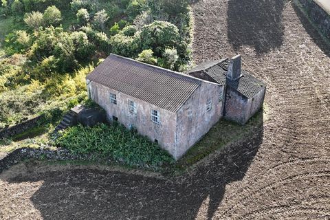 Helårsgrund i Lajes do Pico, Pico, Lajes do Pico - € 275.000 | Ref: 374250256 - foto 6