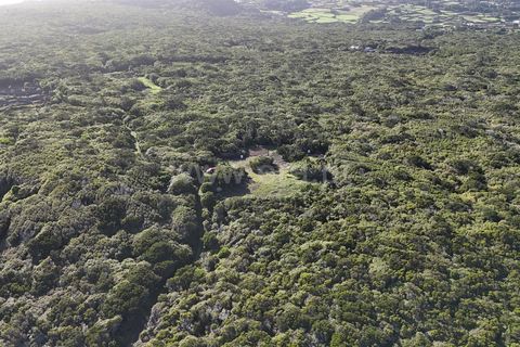 Helårsgrund i Lajes do Pico, Pico, Lajes do Pico - € 178.000 | Ref: 374250270 - foto 4
