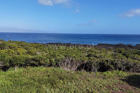 Helårsgrund i Lajes do Pico, Pico, Lajes do Pico - € 178.000 | Ref: 374250270 - foto 7