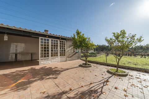 Villa i Seia, Guarda, Seia - € 260.000 | Ref: 382250116 - foto 12