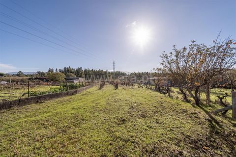 Villa i Seia, Guarda, Seia - € 260.000 | Ref: 382250116 - foto 14