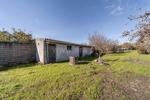 Villa i Seia, Guarda, Seia - € 260.000 | Ref: 382250116 - foto 16