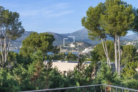 Villa i Santa Ponsa, Mallorca, Santa Ponsa - € 2.950.000 | Ref: MAL52695 - foto 17