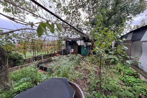 Lejlighed i Piegaro, Perugia, Piegaro - € 110.000 | Ref: P012 - foto 14