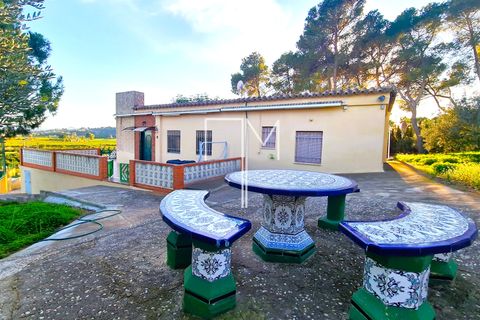 Villa i Alberic, Valencia, Alberic - € 475.000 | Ref: AVed11 - foto 30