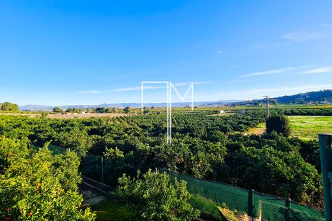 Villa i Alberic, Valencia, Alberic - € 475.000 | Ref: AVed11 - foto 35