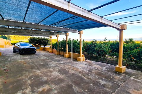Villa i Alberic, Valencia, Alberic - € 475.000 | Ref: AVed11 - foto 41