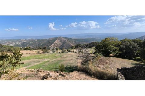 Villa i Beca, Vila Real, Beca - € 130.000 | Ref: BOT.014 - foto 5