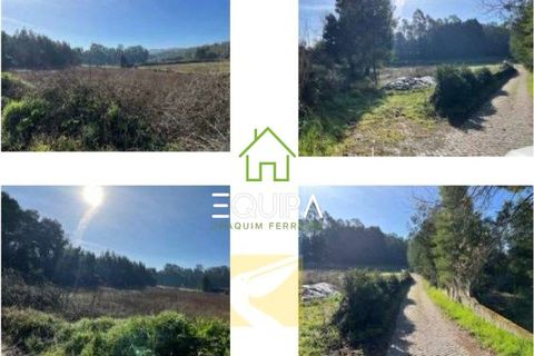 Helårsgrund i Trofa, Porto, Trofa - € 255.000 | Ref: 11931 - foto 1