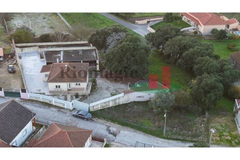 Villa i Asseiceira, Santarem, Asseiceira - € 330.000 | Ref: 222.25 - foto 6