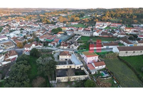 Villa i Asseiceira, Santarem, Asseiceira - € 330.000 | Ref: 222.25 - foto 7