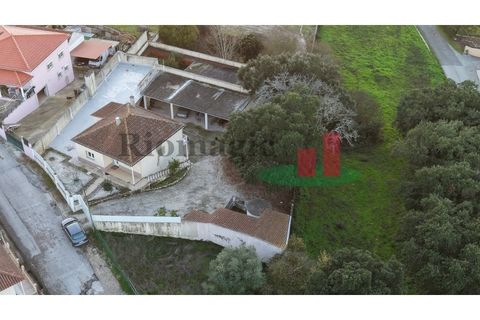 Villa i Asseiceira, Santarem, Asseiceira - € 330.000 | Ref: 222.25 - foto 8