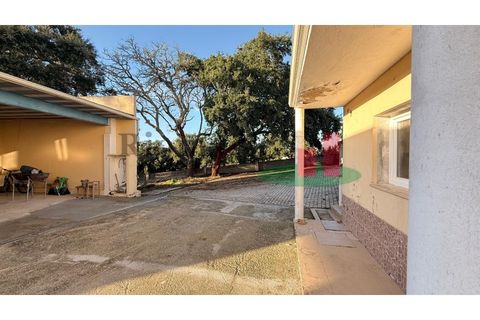 Villa i Asseiceira, Santarem, Asseiceira - € 330.000 | Ref: 222.25 - foto 39