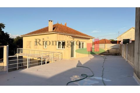 Villa i Asseiceira, Santarem, Asseiceira - € 330.000 | Ref: 222.25 - foto 45