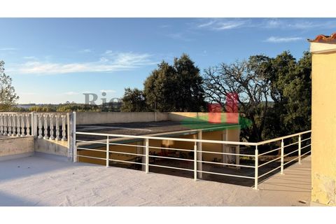 Villa i Asseiceira, Santarem, Asseiceira - € 330.000 | Ref: 222.25 - foto 46