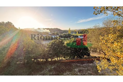 Villa i Asseiceira, Santarem, Asseiceira - € 330.000 | Ref: 222.25 - foto 48