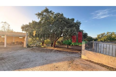 Villa i Asseiceira, Santarem, Asseiceira - € 330.000 | Ref: 222.25 - foto 50