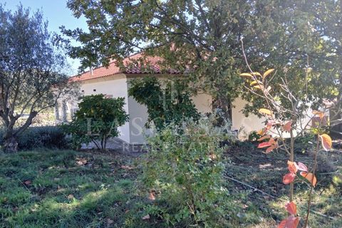Villa i Gestaco, Porto, Gestaco - € 830.000 | Ref: #150-2025 - foto 21