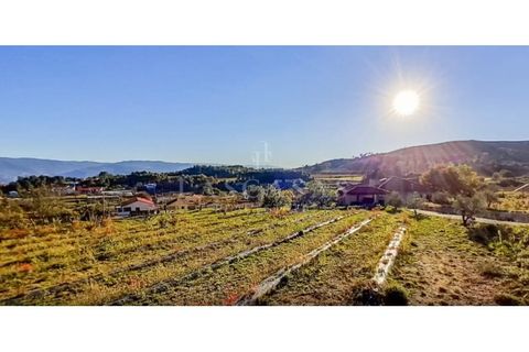 Villa i Gestaco, Porto, Gestaco - € 830.000 | Ref: #150-2025 - foto 26