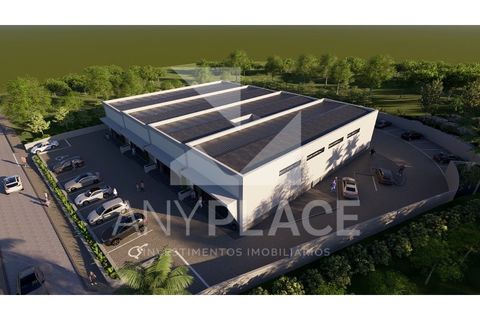 Erhvervsejendom i Almancil, Faro, Almancil - € 700.000 | Ref: AP018/2022 - foto 2