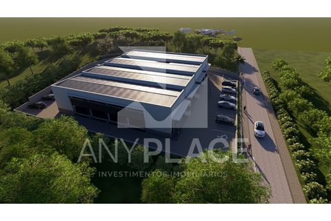Erhvervsejendom i Almancil, Faro, Almancil - € 700.000 | Ref: AP018/2022 - foto 5