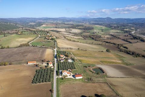 Farm i Manciano, Grosseto, Manciano - € 550.000 | Ref: 115 - foto 2