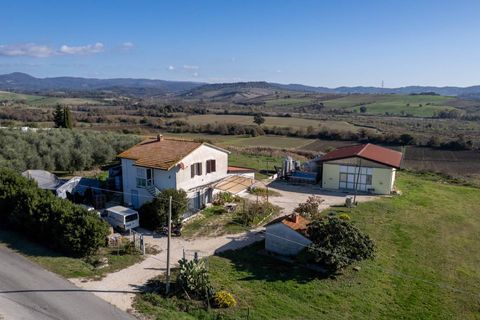 Farm i Manciano, Grosseto, Manciano - € 550.000 | Ref: 115 - foto 4