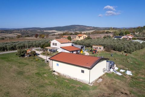 Farm i Manciano, Grosseto, Manciano - € 550.000 | Ref: 115 - foto 8