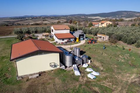 Farm i Manciano, Grosseto, Manciano - € 550.000 | Ref: 115 - foto 9