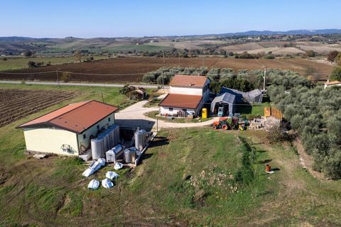 Farm i Manciano, Grosseto, Manciano - € 550.000 | Ref: 115 - foto 10