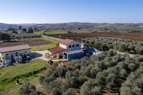 Farm i Manciano, Grosseto, Manciano - € 550.000 | Ref: 115 - foto 11