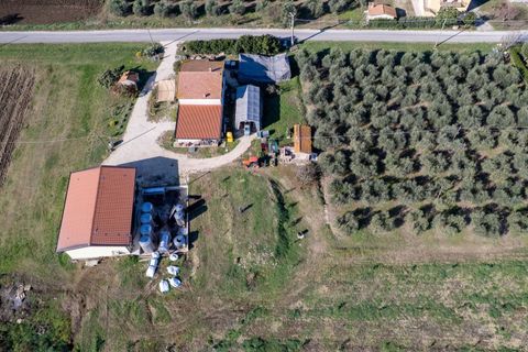 Farm i Manciano, Grosseto, Manciano - € 550.000 | Ref: 115 - foto 12