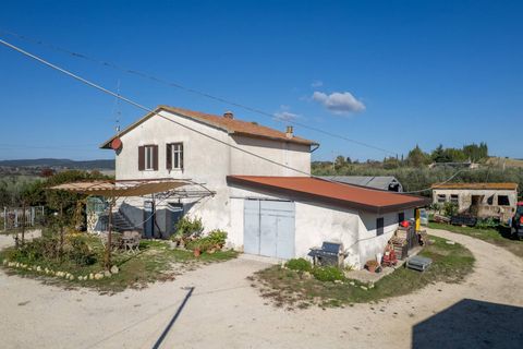 Farm i Manciano, Grosseto, Manciano - € 550.000 | Ref: 115 - foto 13