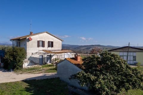 Farm i Manciano, Grosseto, Manciano - € 550.000 | Ref: 115 - foto 15