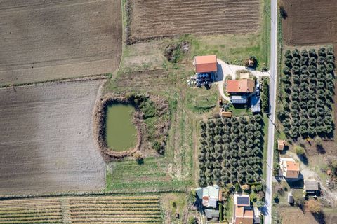 Farm i Manciano, Grosseto, Manciano - € 550.000 | Ref: 115 - foto 18