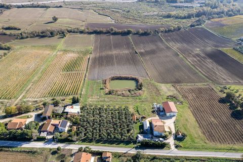 Farm i Manciano, Grosseto, Manciano - € 550.000 | Ref: 115 - foto 19