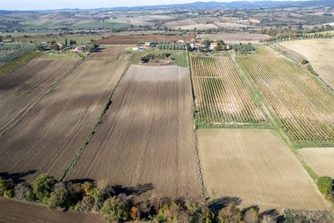 Farm i Manciano, Grosseto, Manciano - € 550.000 | Ref: 115 - foto 20