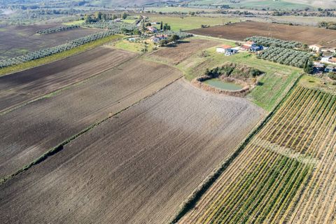 Farm i Manciano, Grosseto, Manciano - € 550.000 | Ref: 115 - foto 21