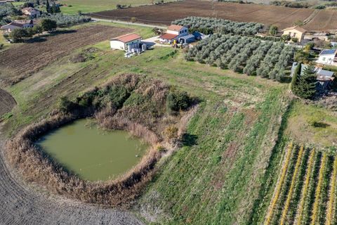 Farm i Manciano, Grosseto, Manciano - € 550.000 | Ref: 115 - foto 22