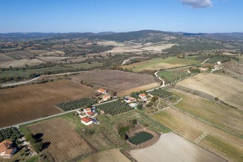 Farm i Manciano, Grosseto, Manciano - € 550.000 | Ref: 115 - foto 23
