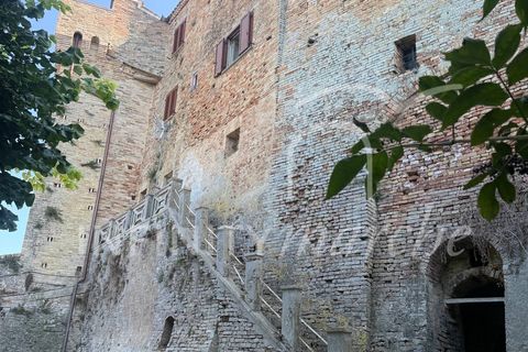 Erhvervsejendom i Cossignano, Ascoli Piceno, Cossignano - € 150.000 | Ref: 253 - foto 24