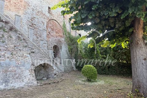 Erhvervsejendom i Cossignano, Ascoli Piceno, Cossignano - € 150.000 | Ref: 253 - foto 25
